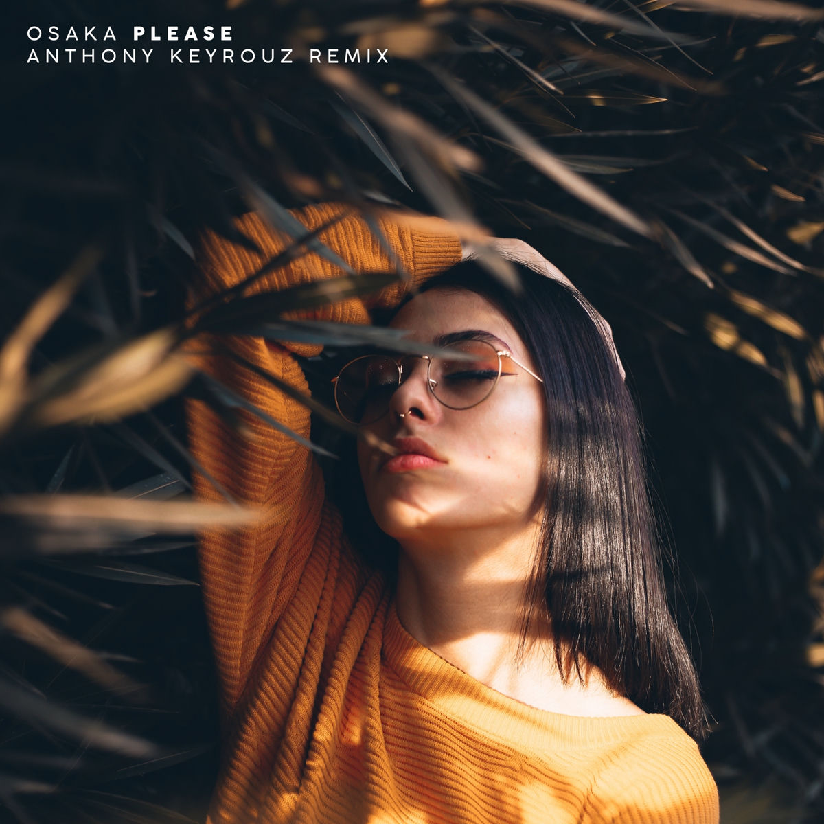 Album cover of Please