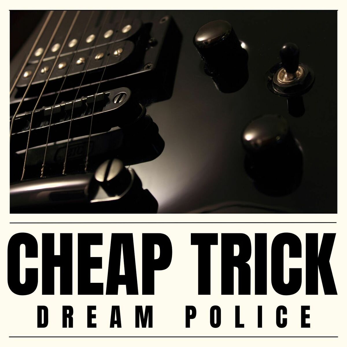 Album cover of Dream Police