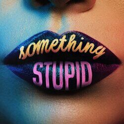 Cover of Something Stupid