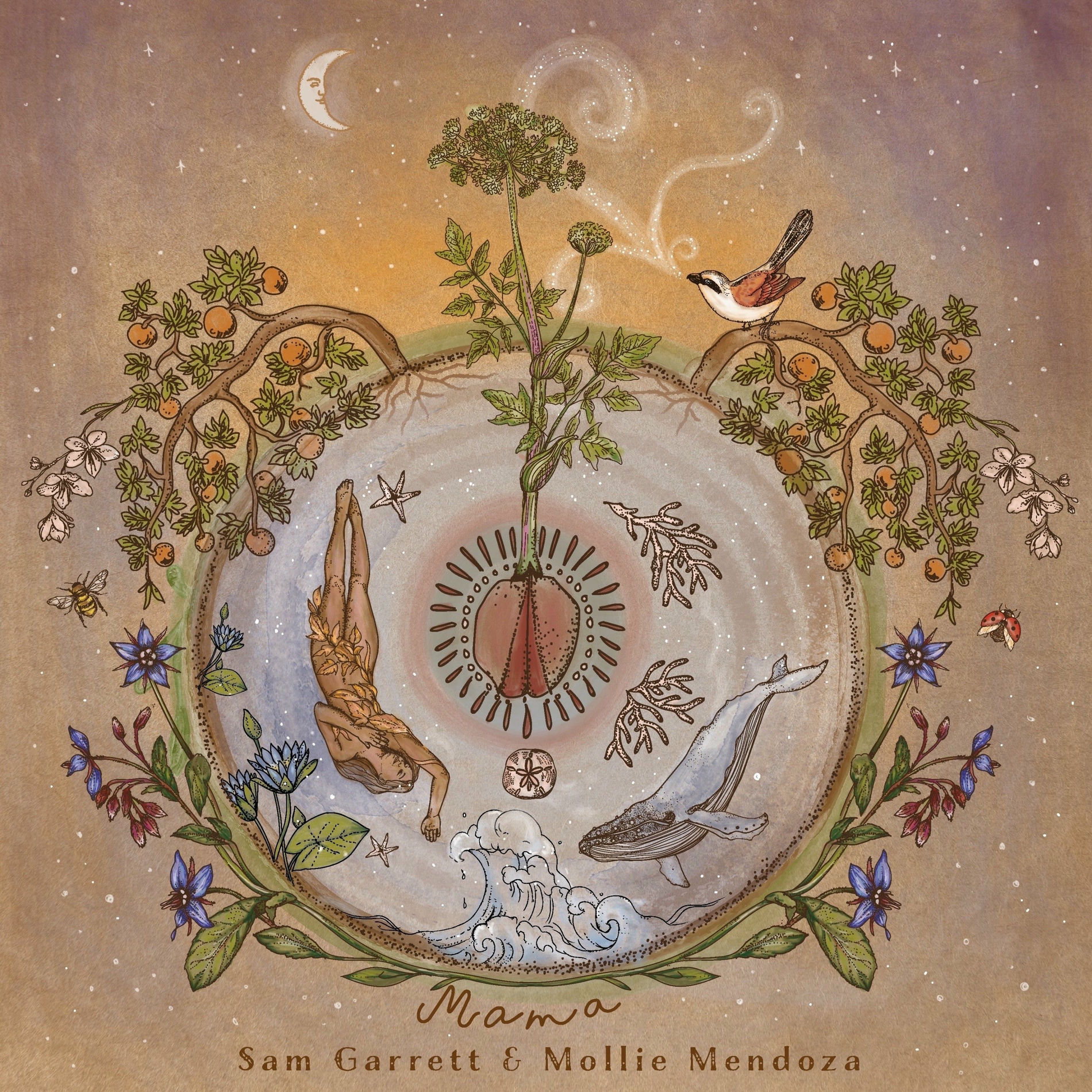 Album cover of Mama