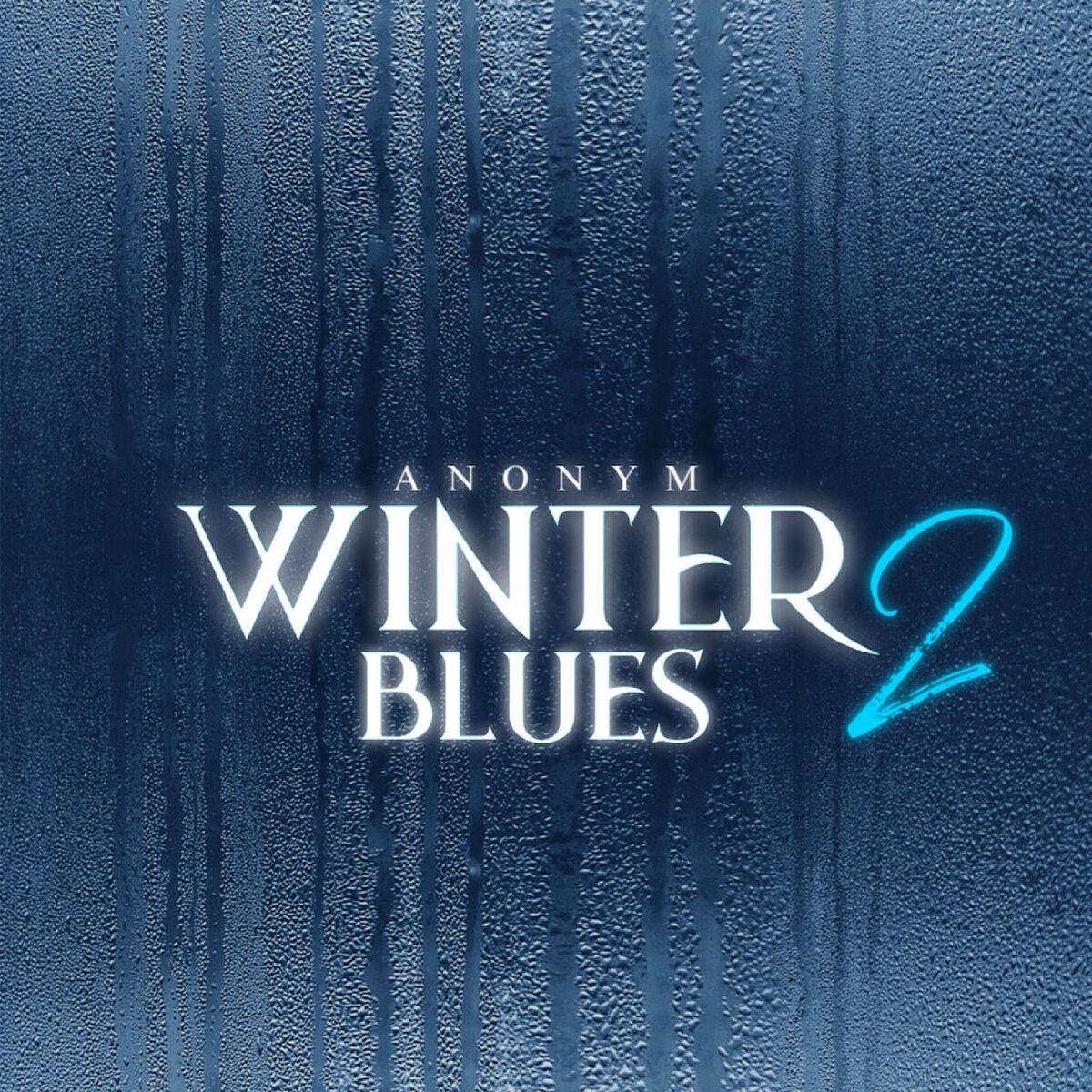 Album cover of Winterblues 2