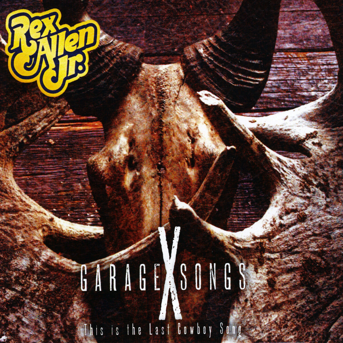 Album cover of Garage Songs X (This Is the Last Cowboy Song)