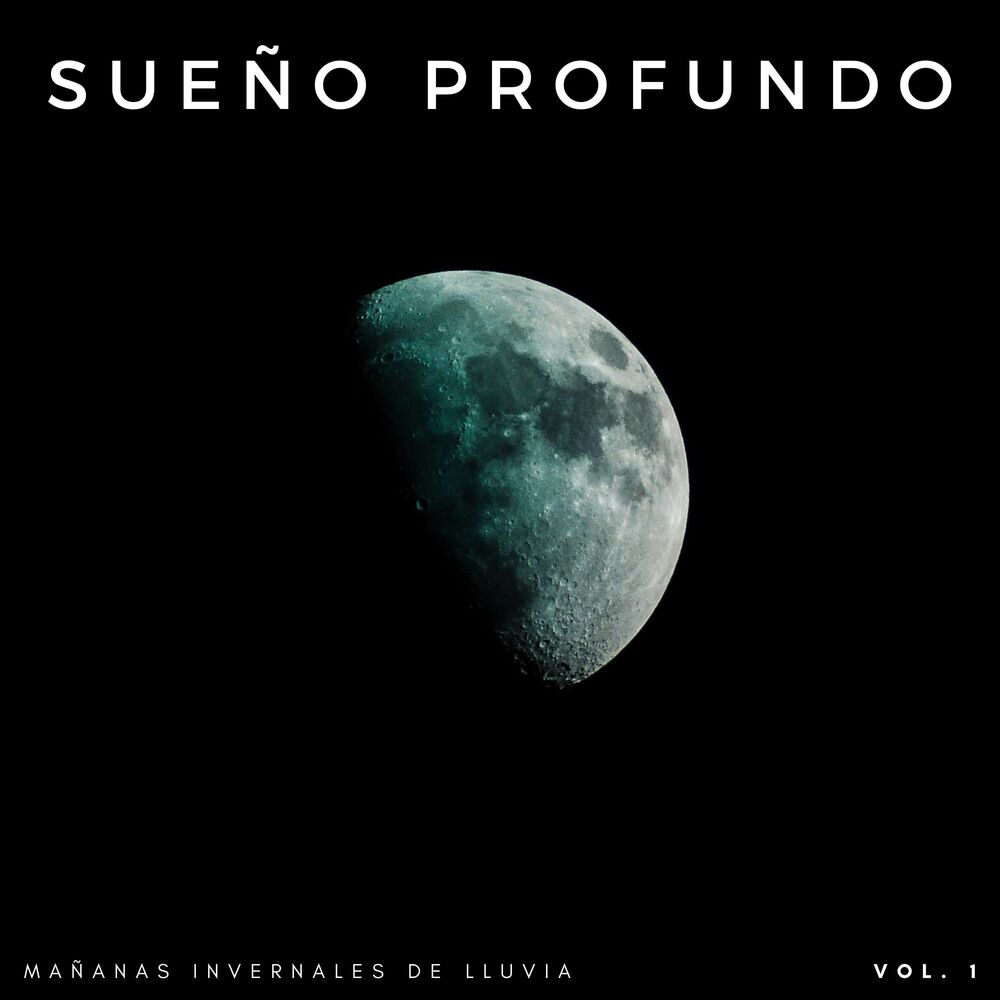 Picture of Sueño Profundo: Mañanas Invernales De Lluvia Vol. 1