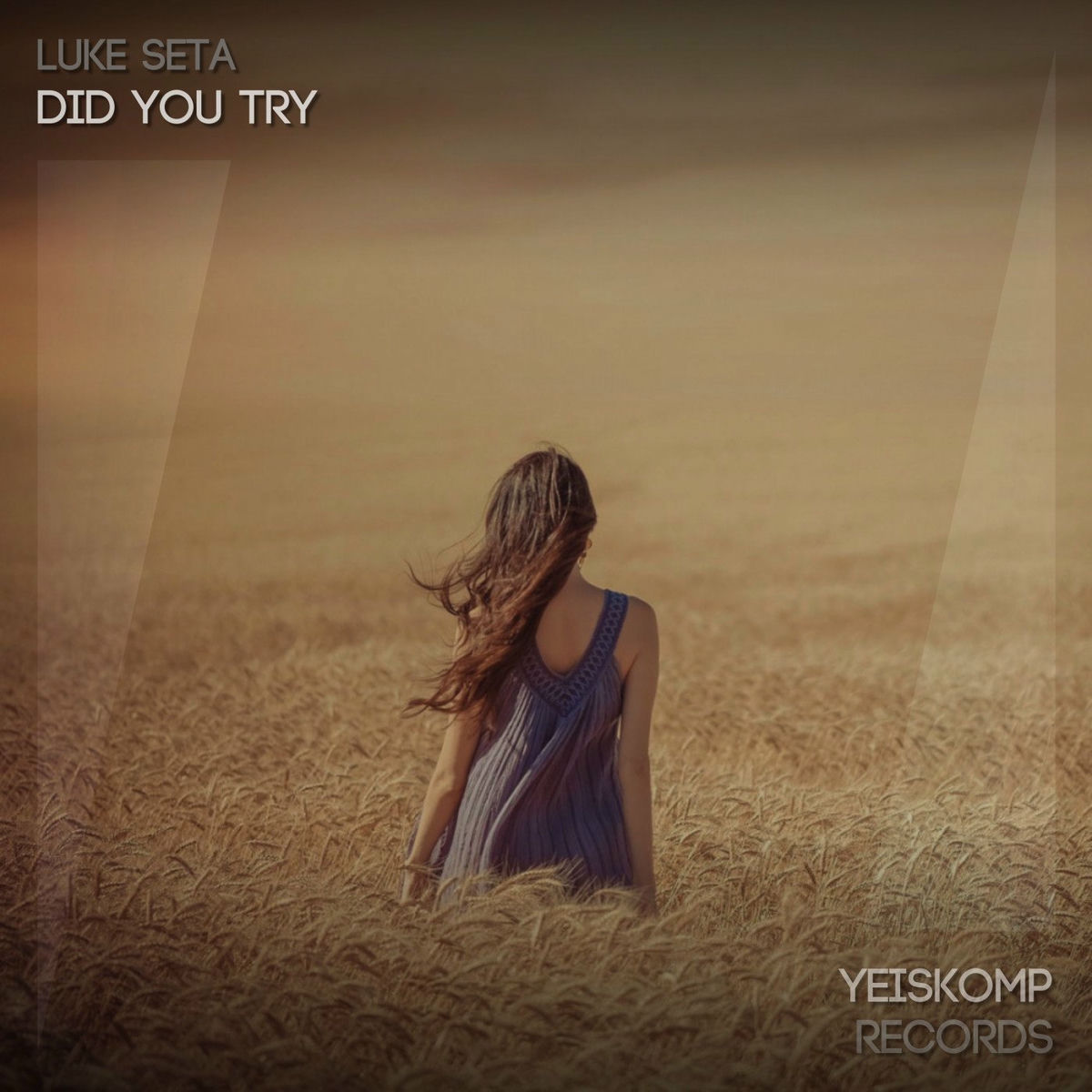 Album picture of Did You Try