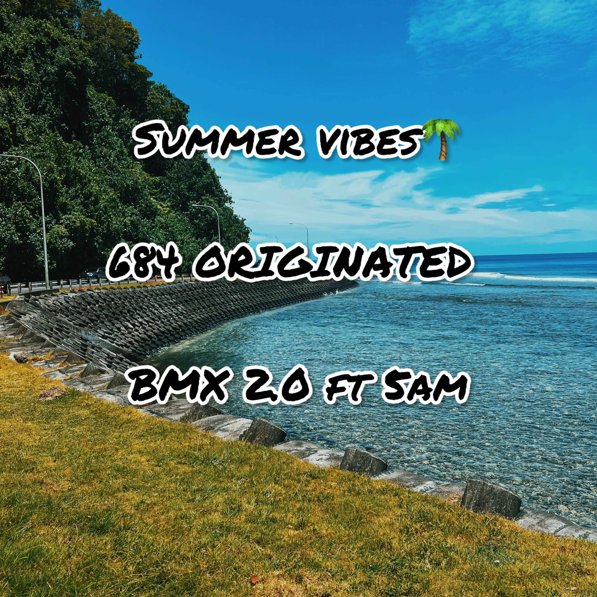 Album cover of Summer vibes (feat. 5am)