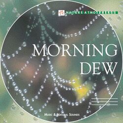 Cover of Nature Atmosphere: Morning Dew