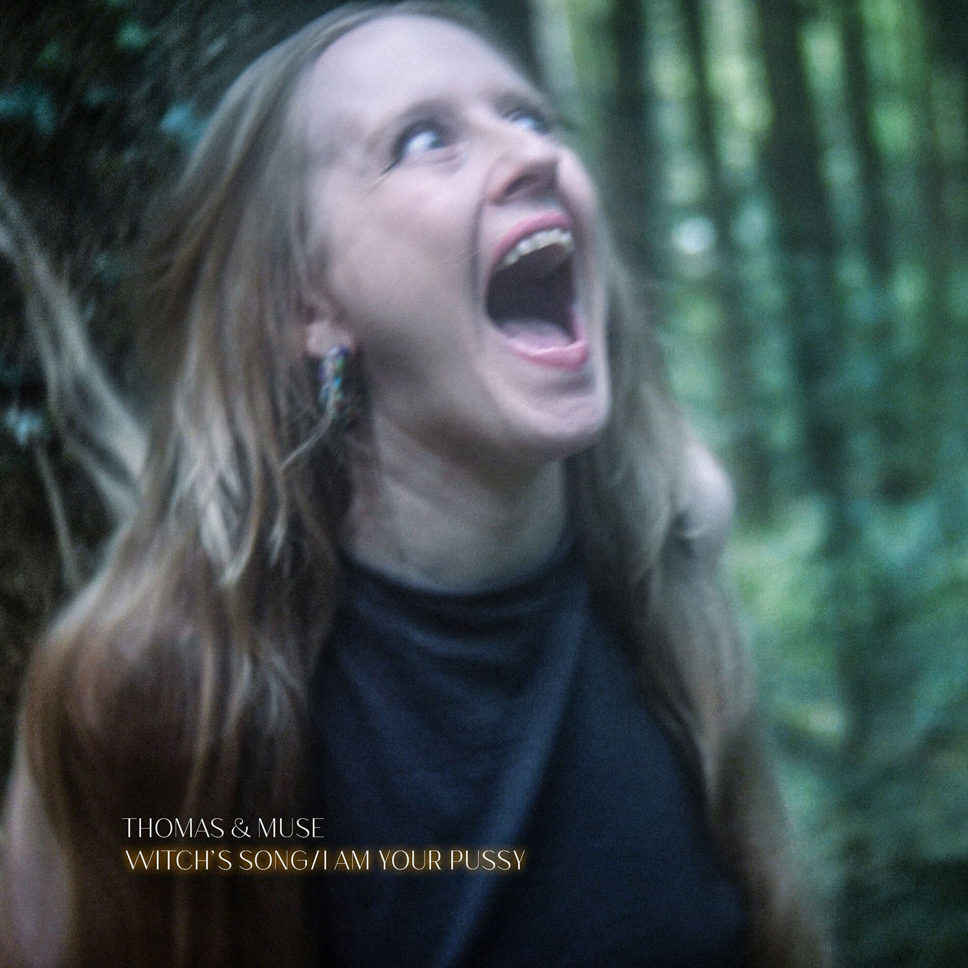 Album cover of Witch's Song/I Am Your Pussy