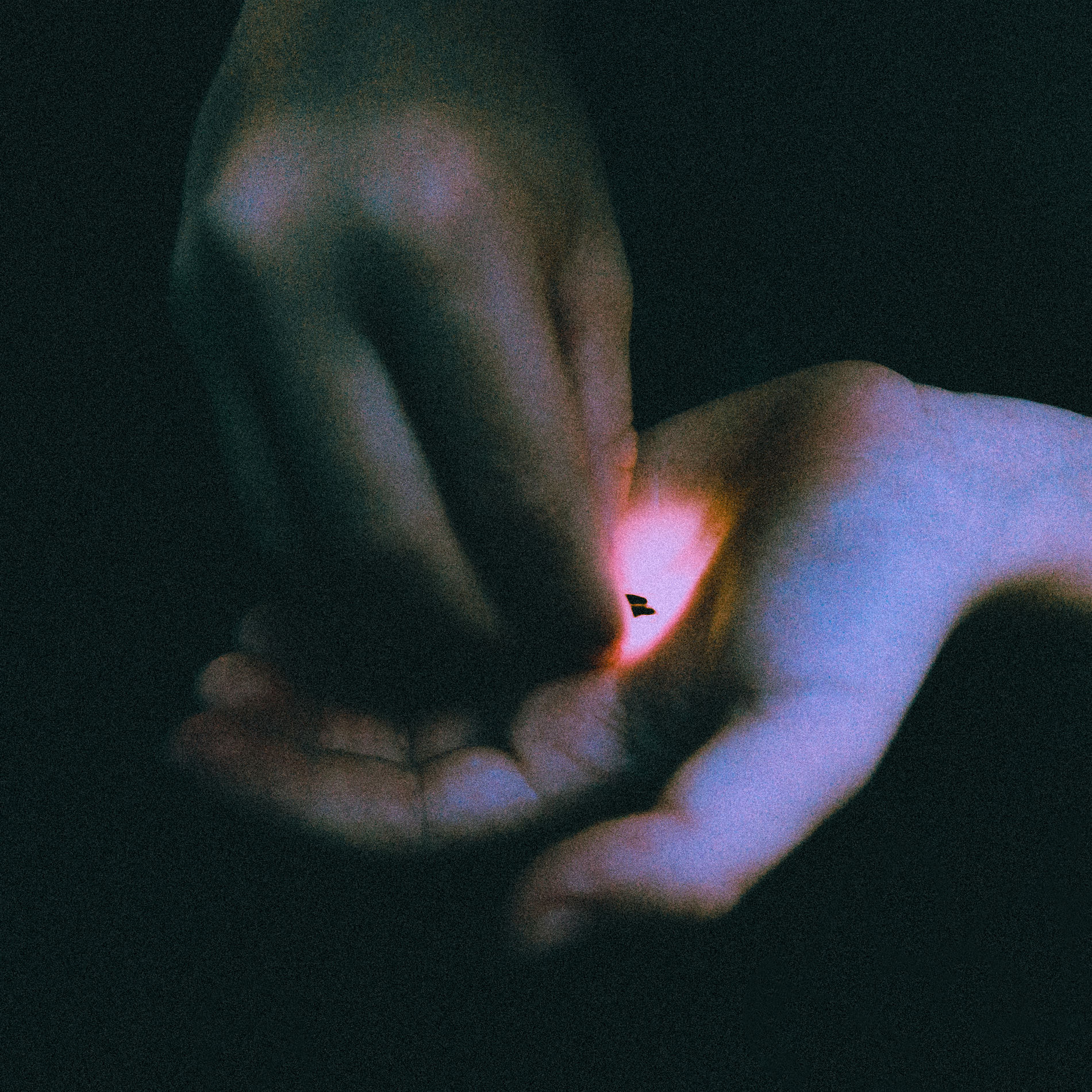 Album cover of Stray