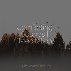Cover of Comforting Sounds | Meditation