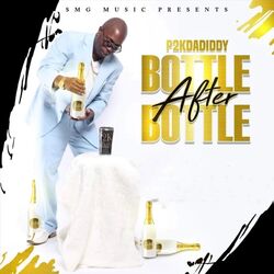 Cover of Bottle After Bottle