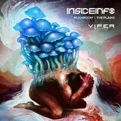 Cover of Mushroom / The Plains