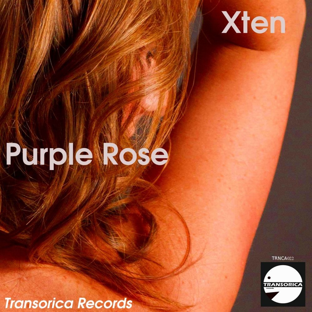 Picture of Purple Rose