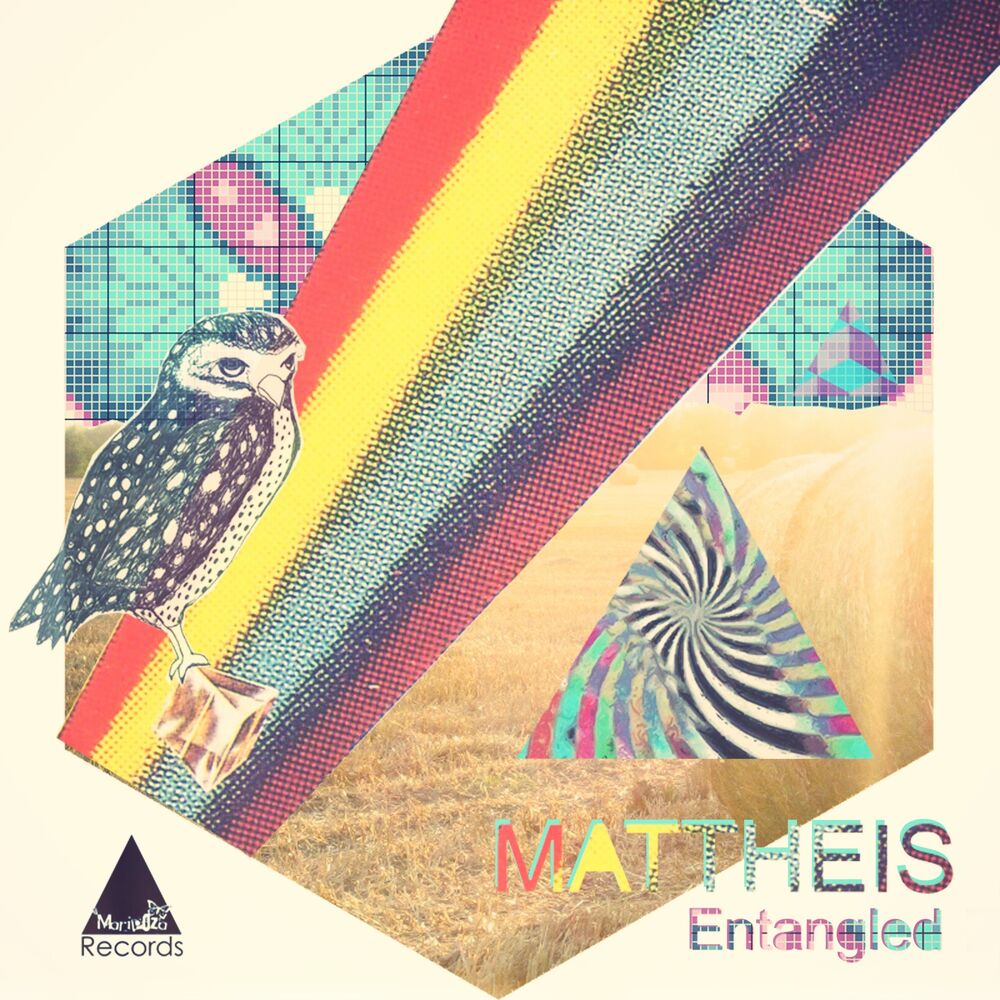 Picture of Entangled