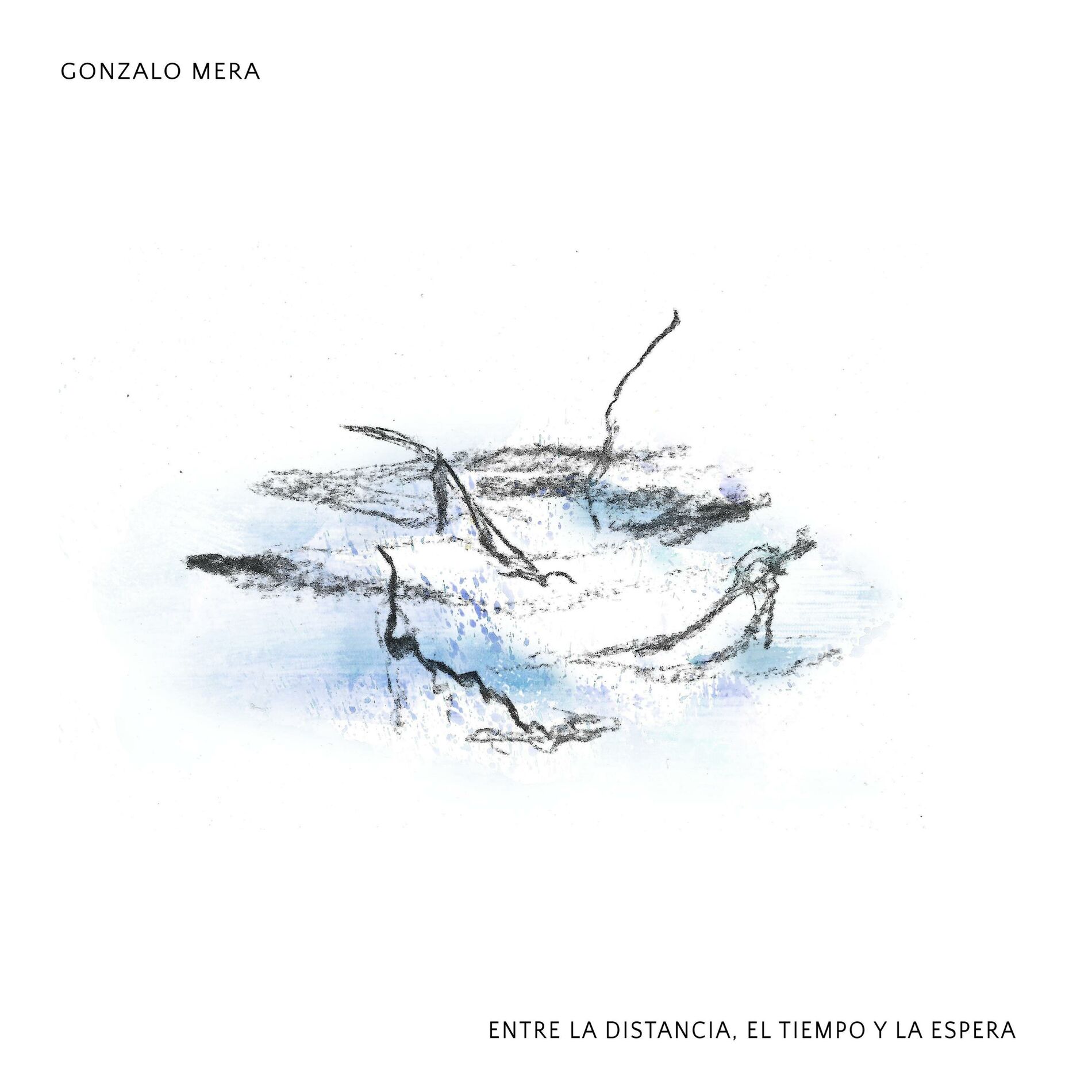 Album cover of Entre la distancia, el tiempo y la espera