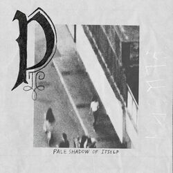 Cover of Pale Shadow of Itself