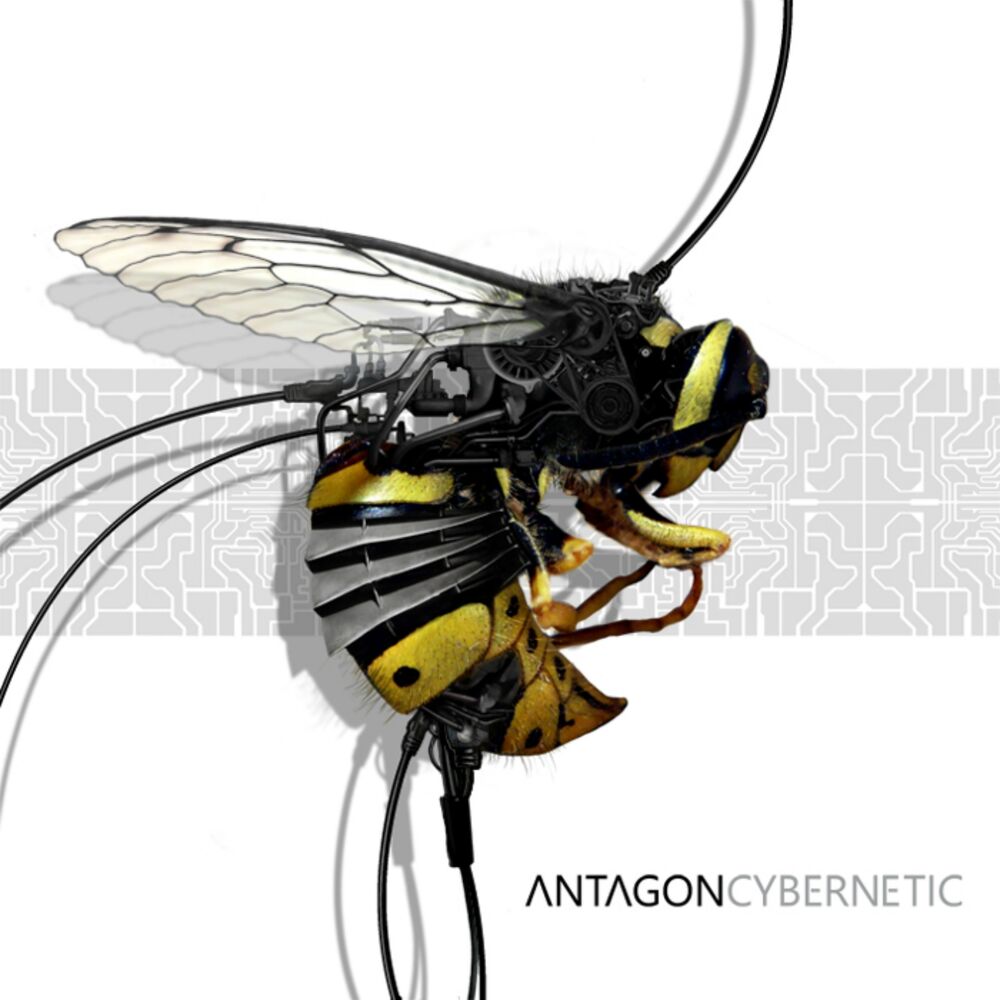 Picture of Cybernetic
