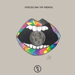 Cover of Voices (NK VIP Remix)