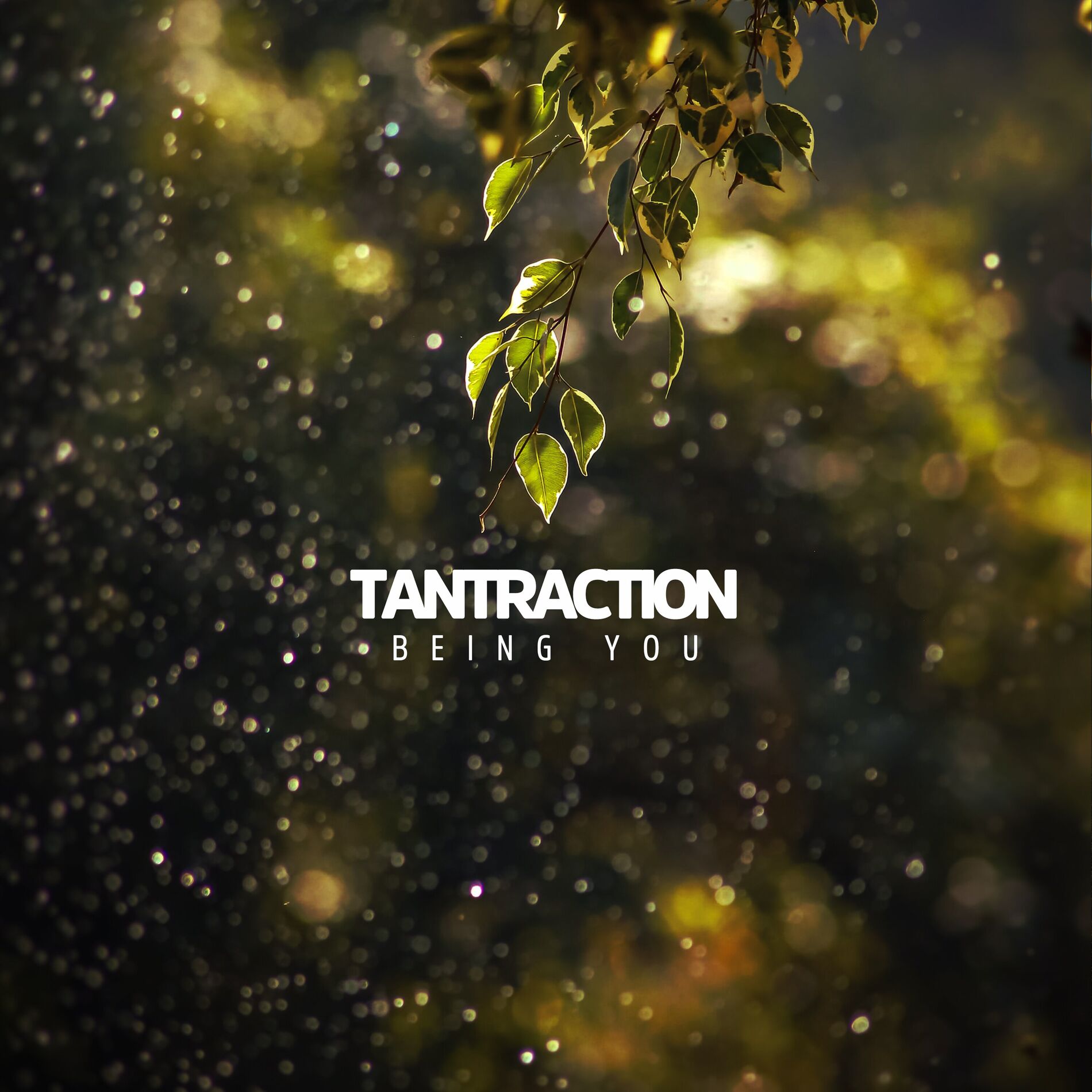 Album cover of Being You