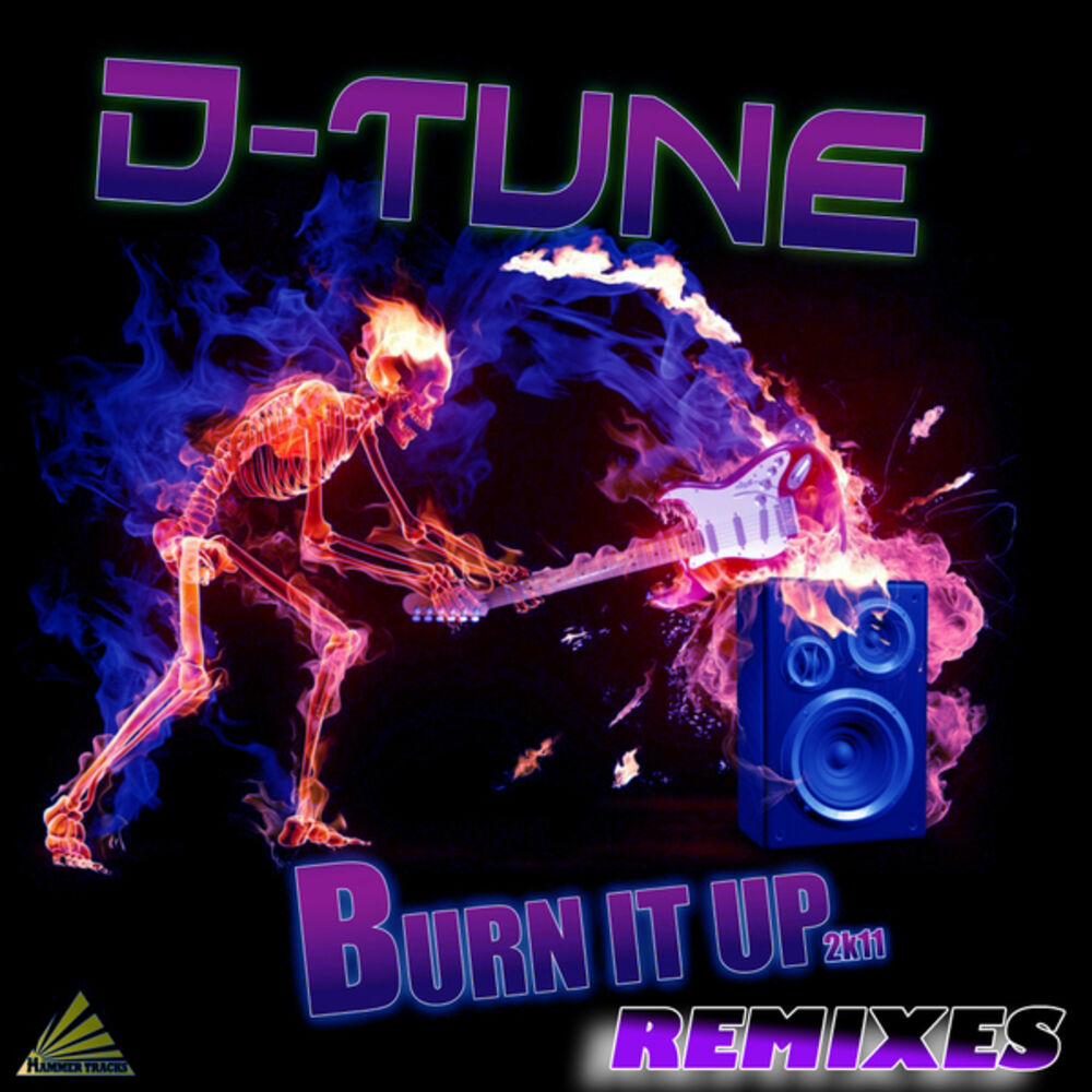 Picture of Burn It Up 2K11 (Remixes)