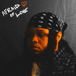 Cover of Afraid Of Love