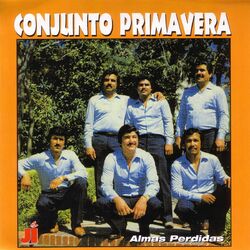Cover of Almas Perdidas