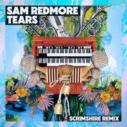 Cover of Tears (Scrimshire Remix)