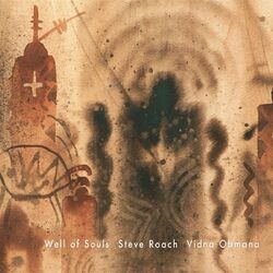 Cover of Well of Souls