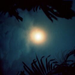 Cover of Farol das Estrelas