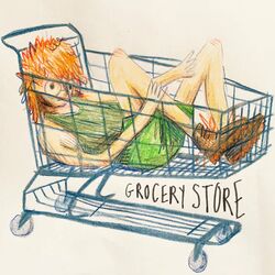 Cover of Grocery Store