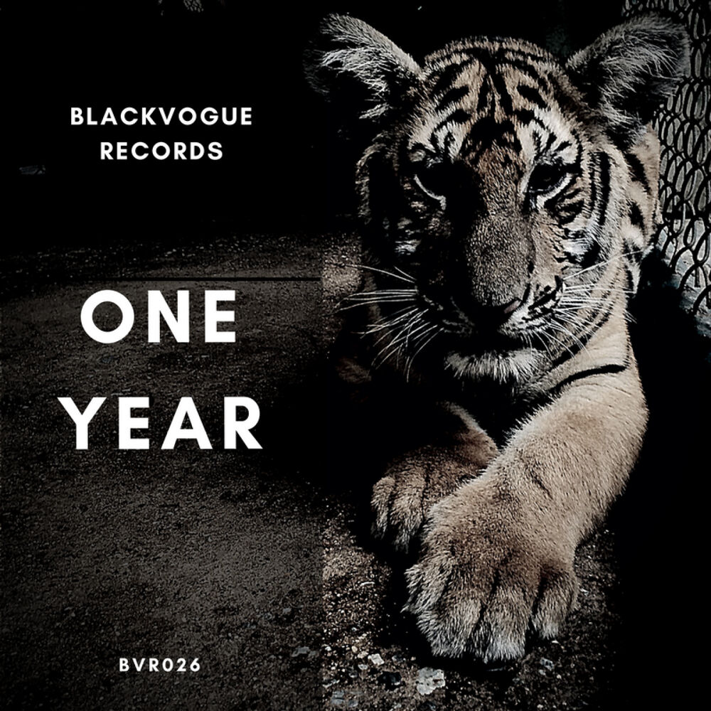 Picture of One Year