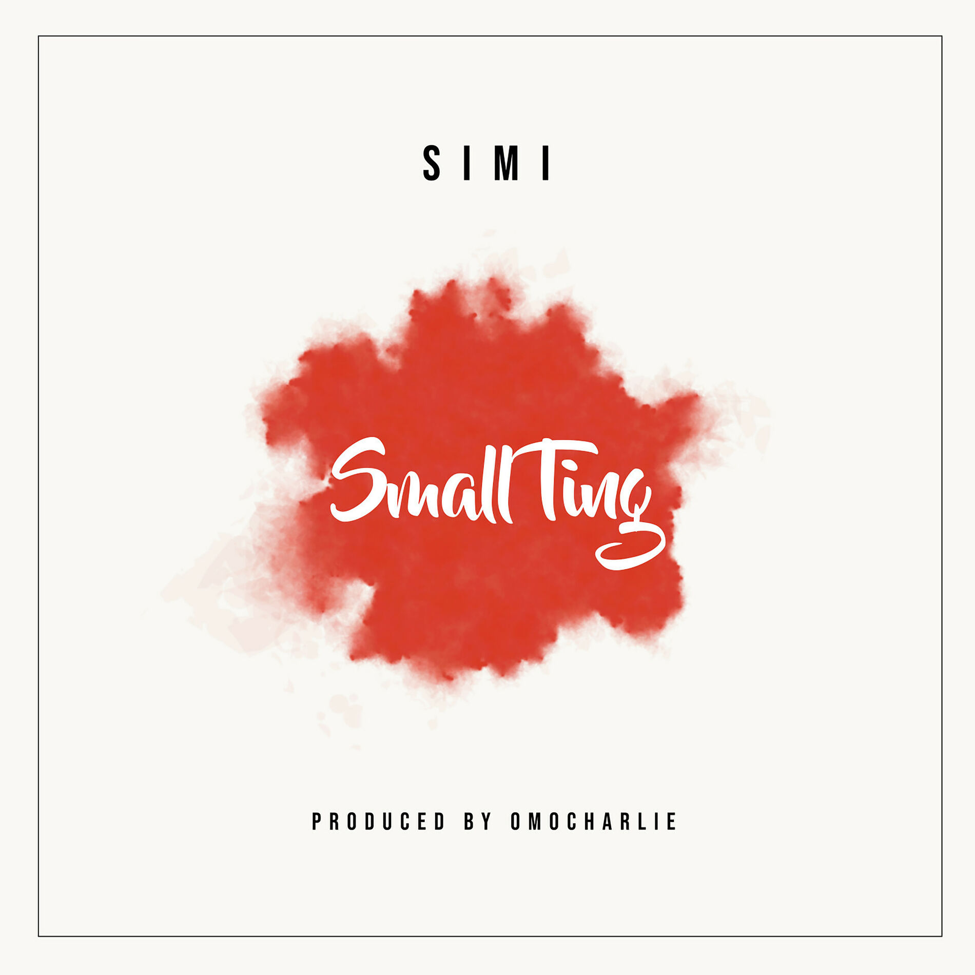 Album cover of Small Ting