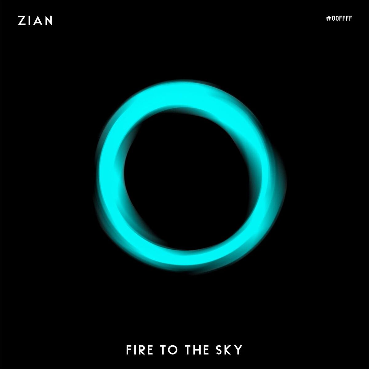 Album cover of Fire To The Sky