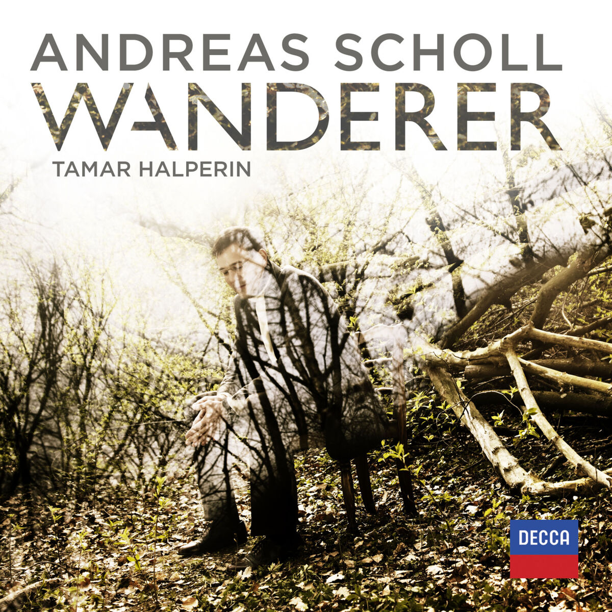 Album cover of 49 Deutsche Volkslieder - Book VI : Brahms: 49 Deutsche Volkslieder - Book VI: 42. In stiller Nacht