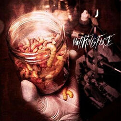 Cover of Nothingface