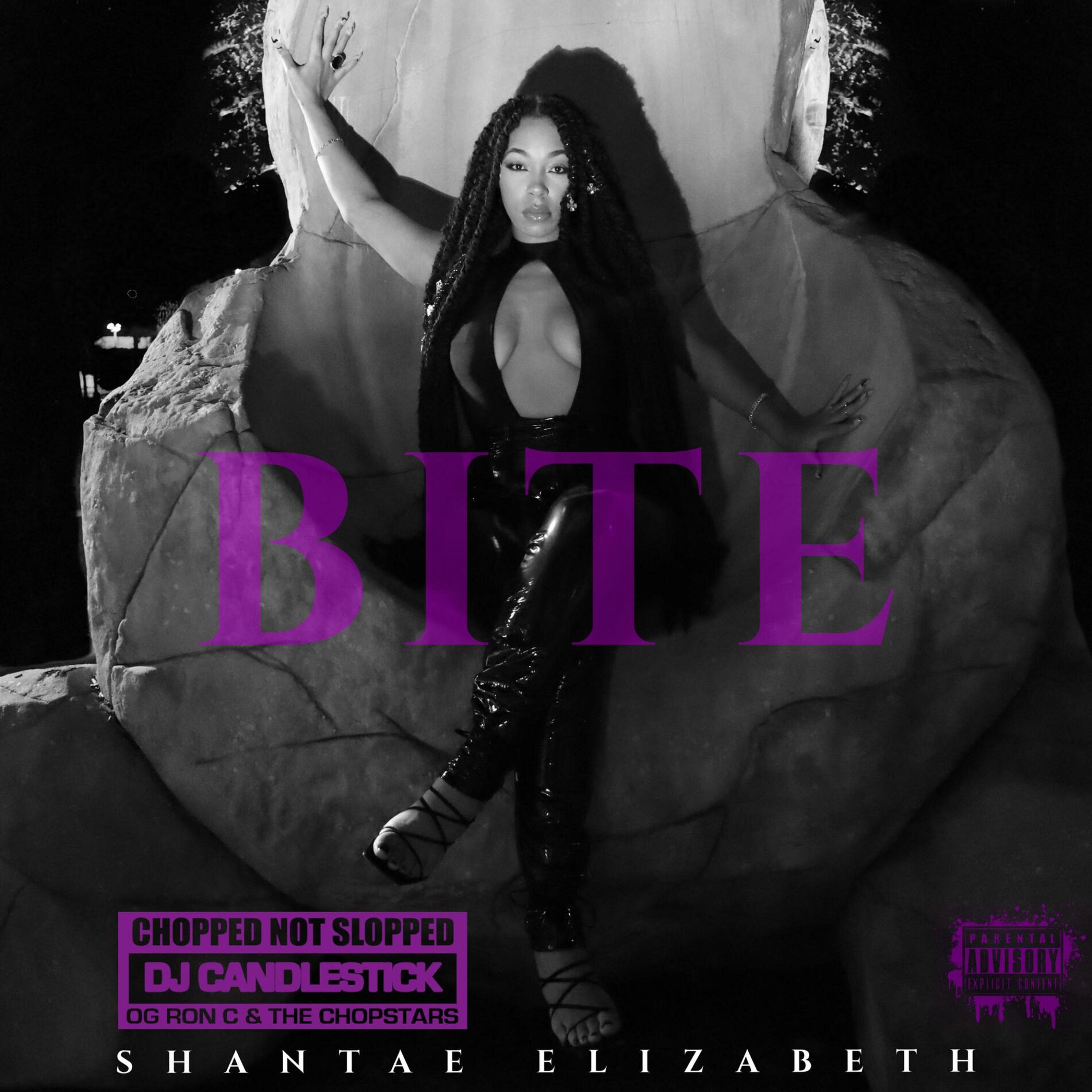Album cover of BITE (feat. DJ Candlestick, OG Ron C & The Chopstars) [ChopNotSlop Remix]