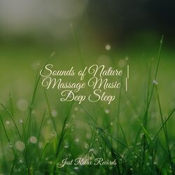 Cover of Sounds of Nature | Massage Music | Deep Sleep