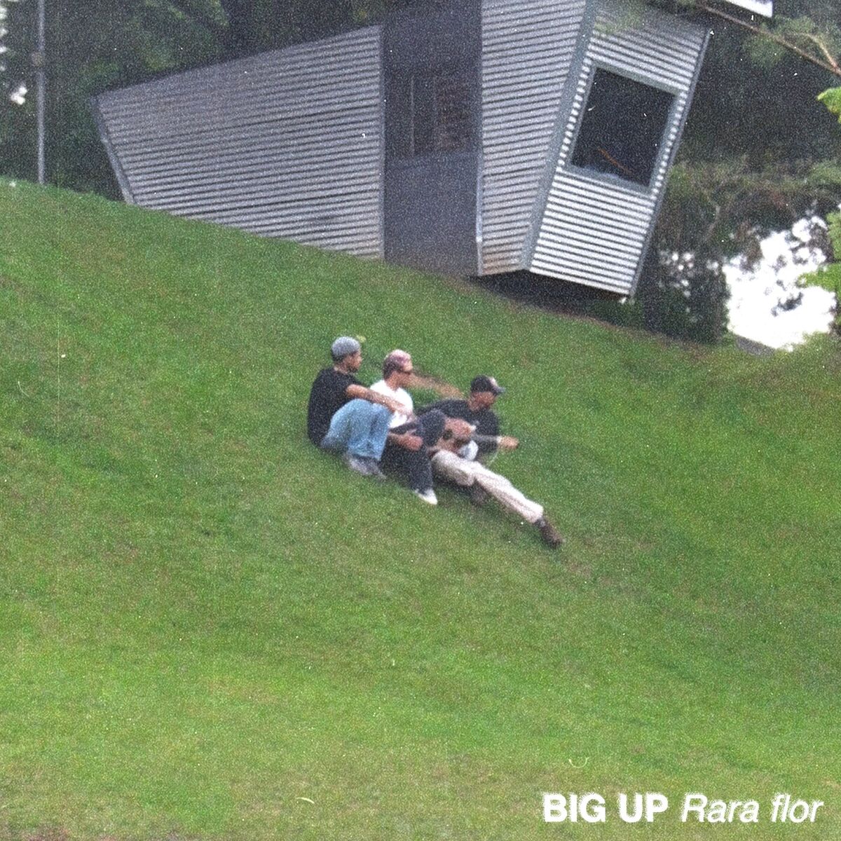 Album cover of Rara Flor