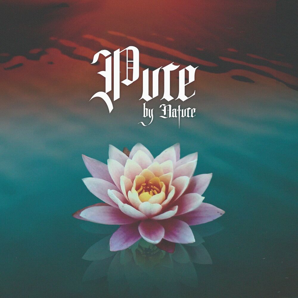 Picture of Pure by Nature