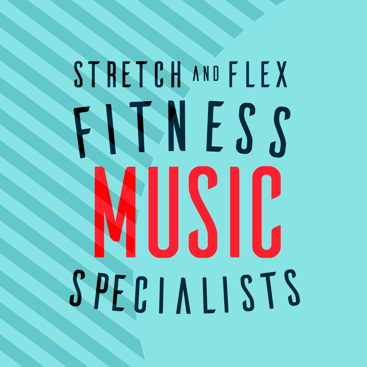 Album cover of Stretch and Flex Fitness Music Specialists
