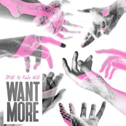 Cover of Want More