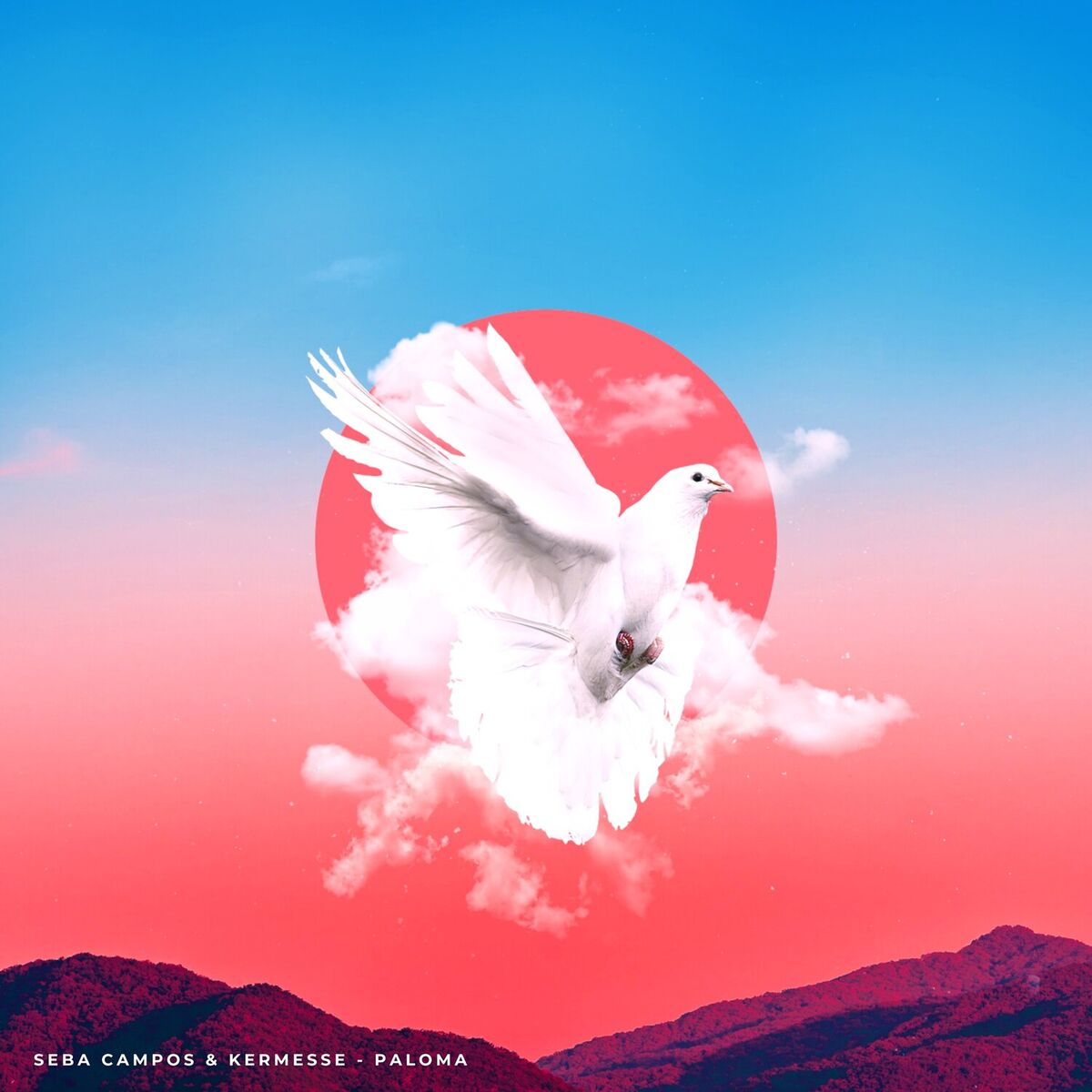 Album cover of Paloma