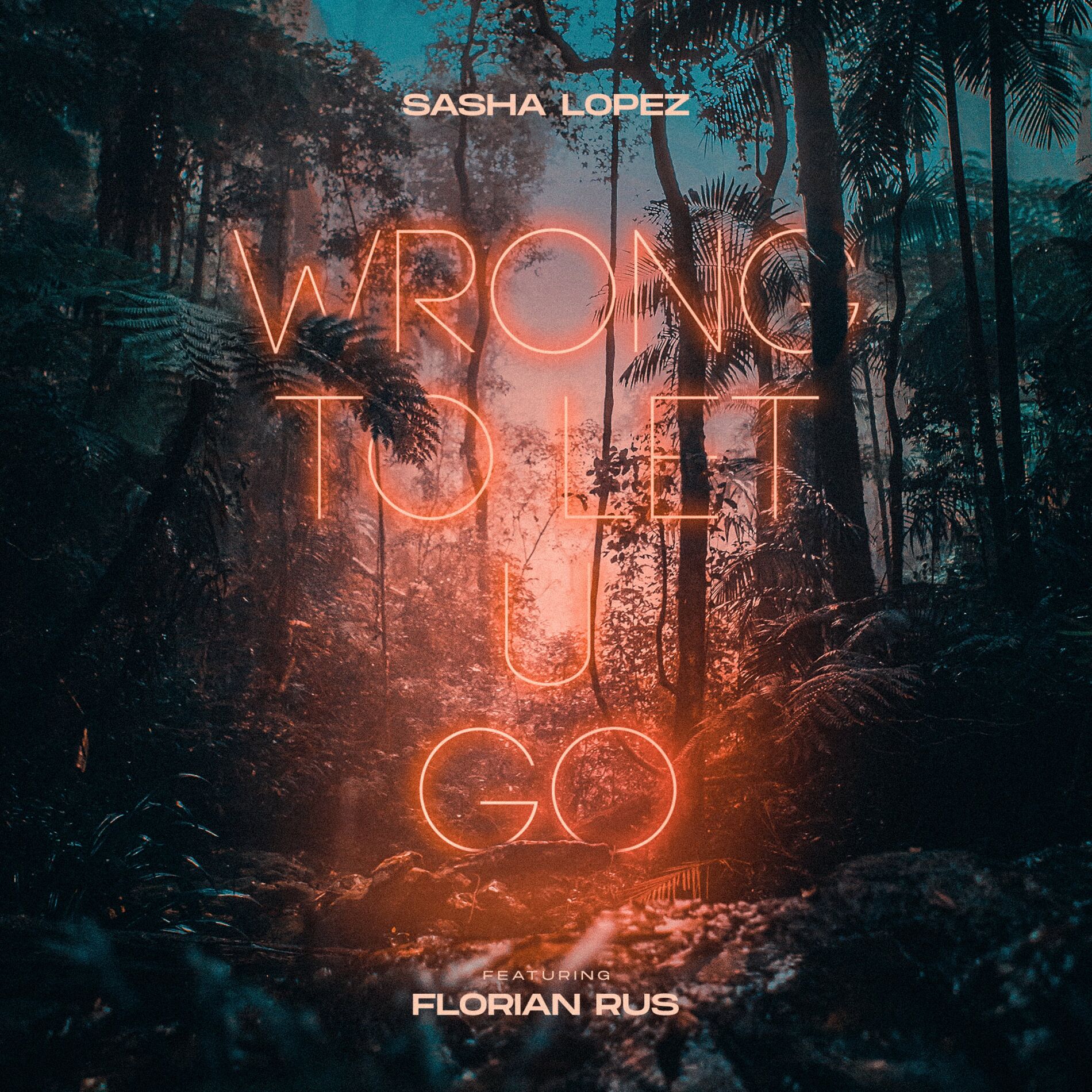 Album cover of Wrong to Let U Go