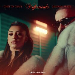 Cover of VAFFANCULO