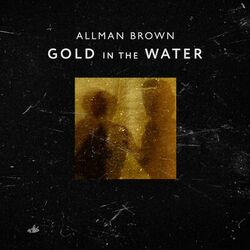 Cover of Gold in the Water