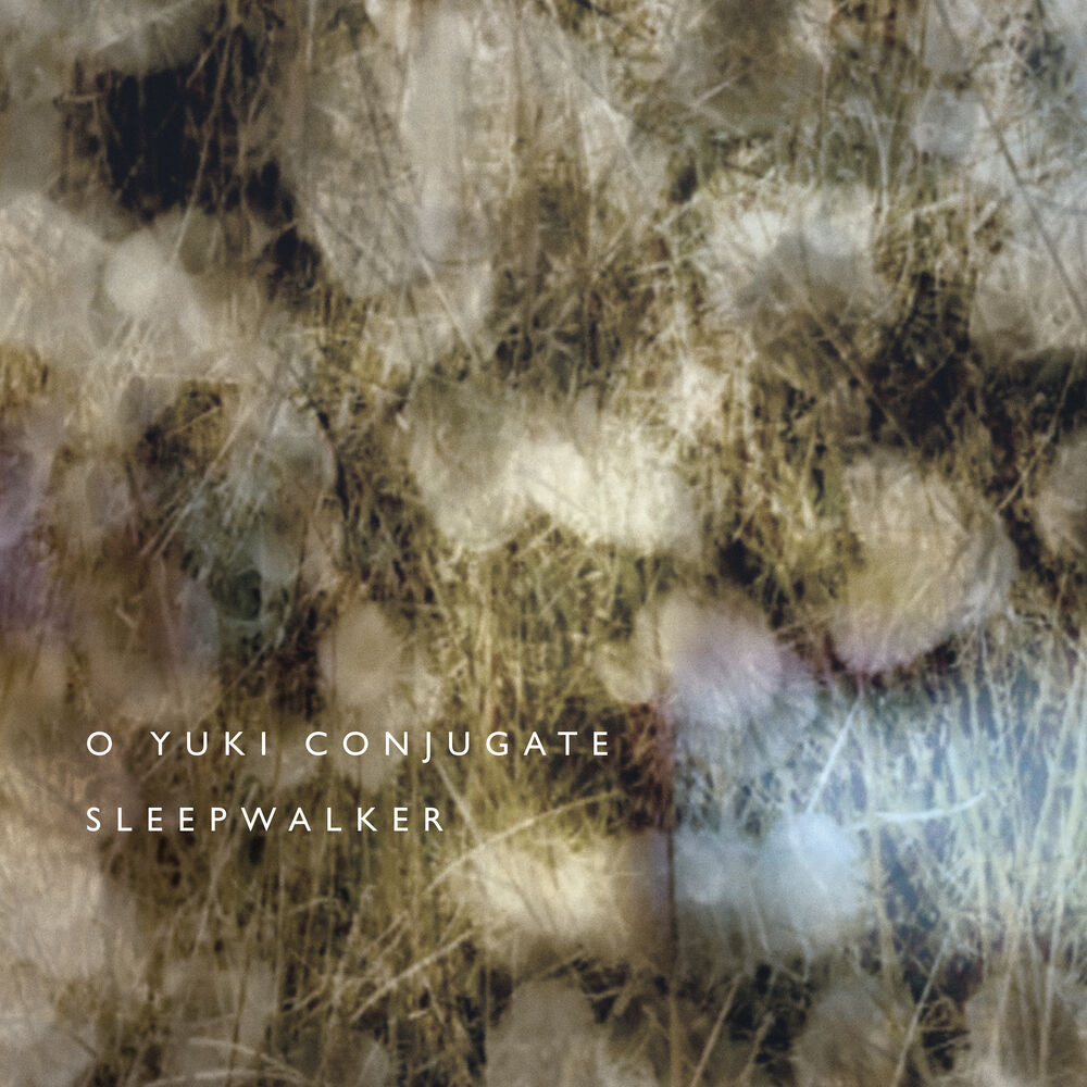 Picture of Sleepwalker