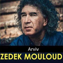 Cover of Arviv