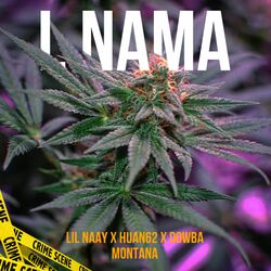 Cover of L NAMA