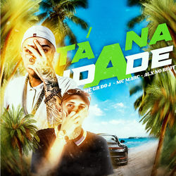 Cover of Tá na Idade by undefined