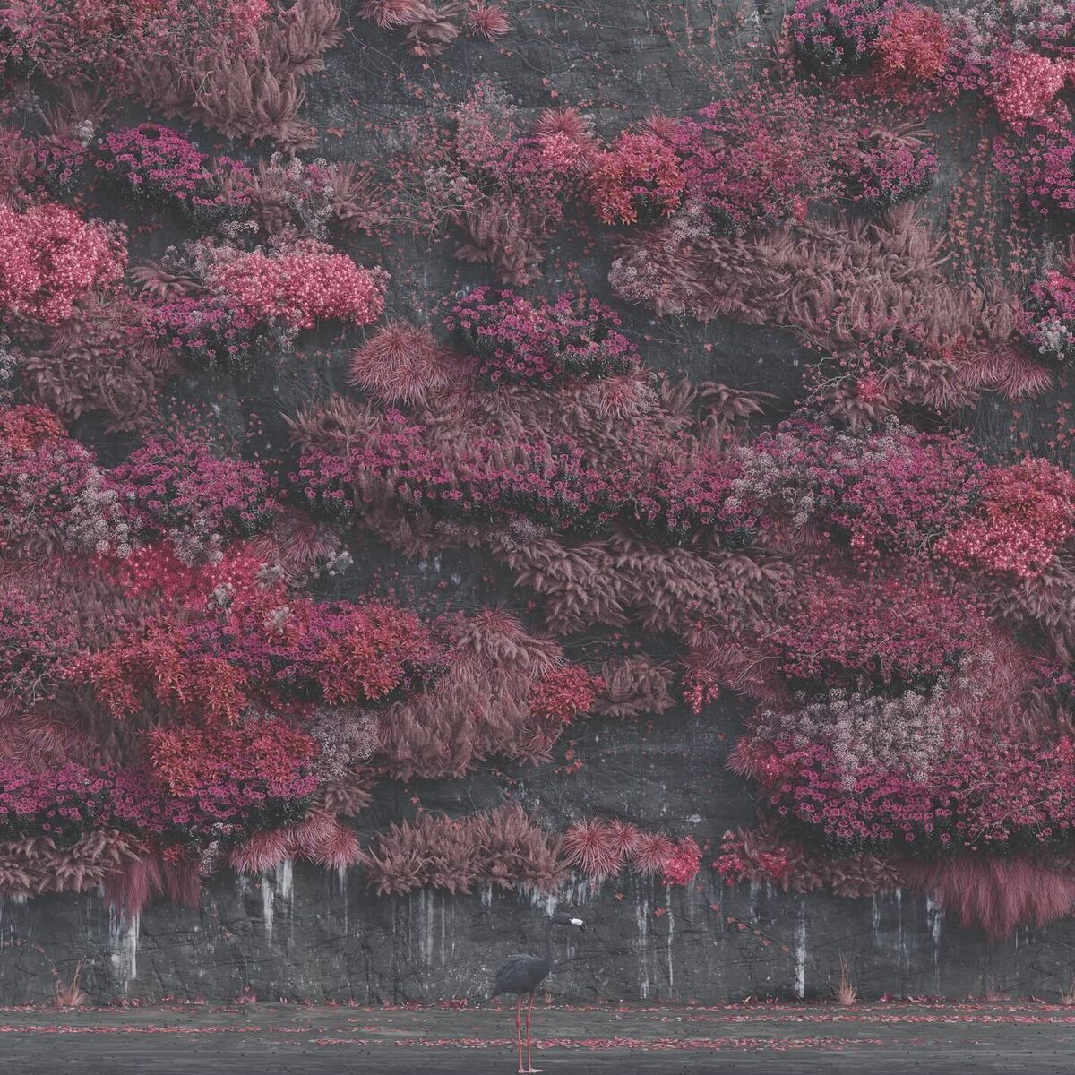 Album cover of Even In Arcadia