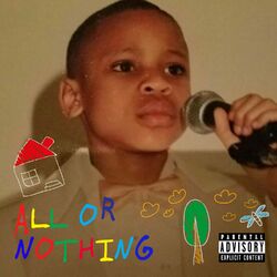 Cover of All or Nothing